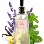 LE502 – Vanille parfum